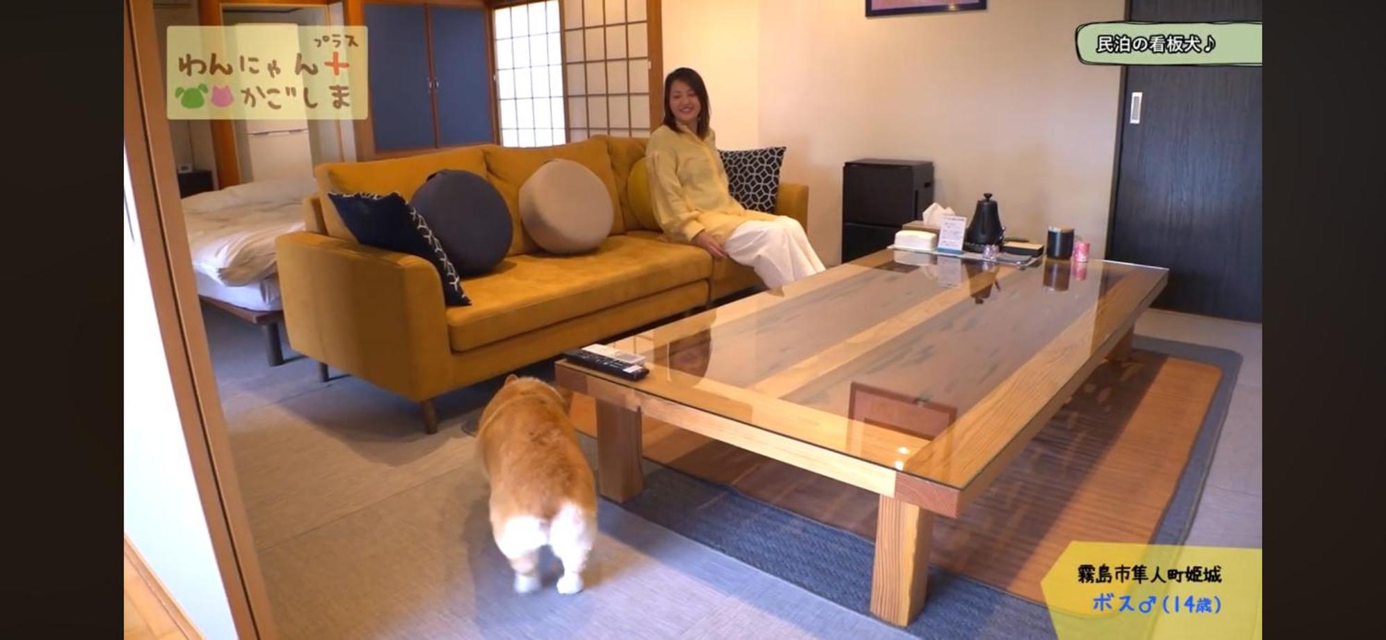 Boss'Shouse 犬ok 1組限定の宿 Kirišima Exteriér fotografie